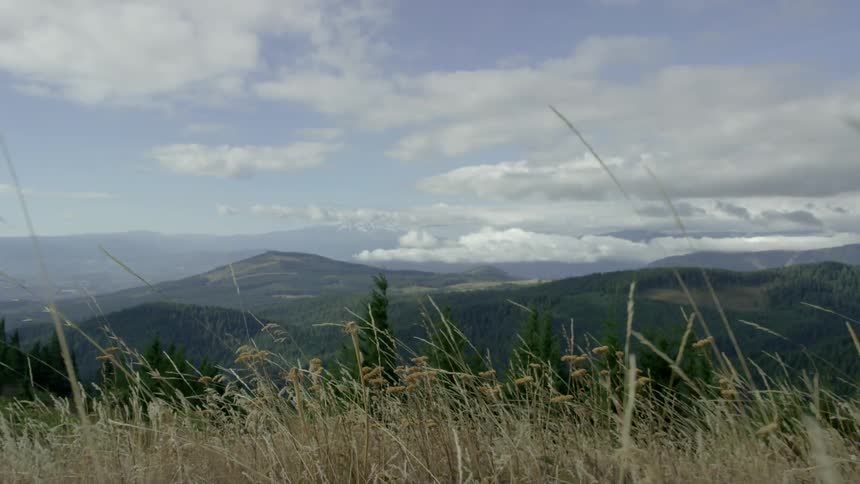 Moving forward through tall brown grass to see a landscape of beautiful tree covered mountains as far as the eye can see