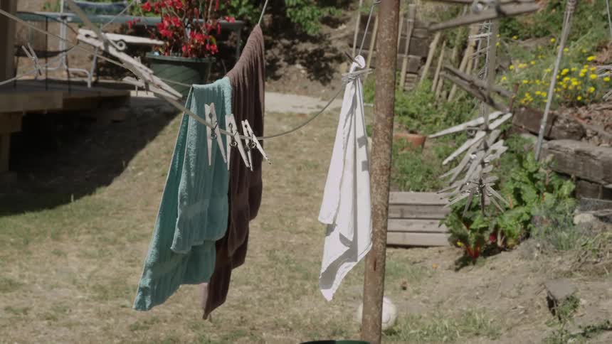 Some clotheslines in a yard on a sunny day