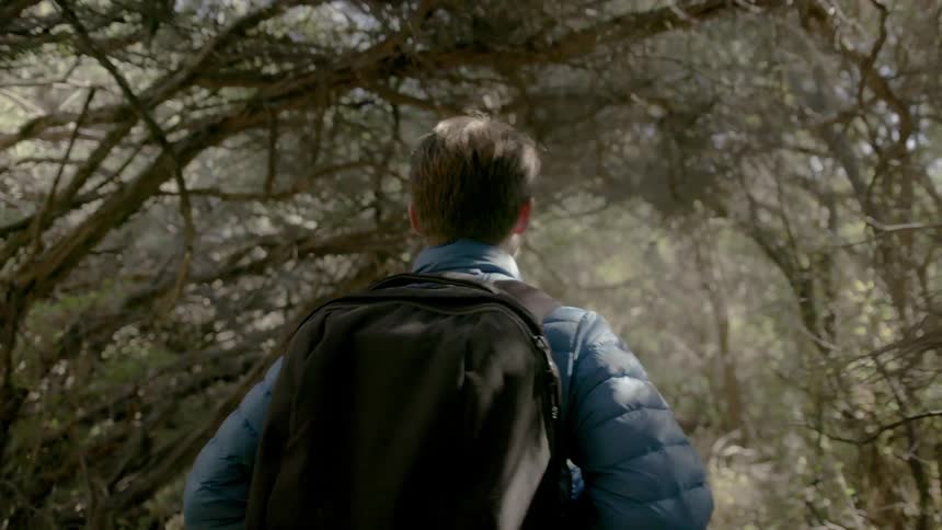 A man is hiking down a trail in the forest