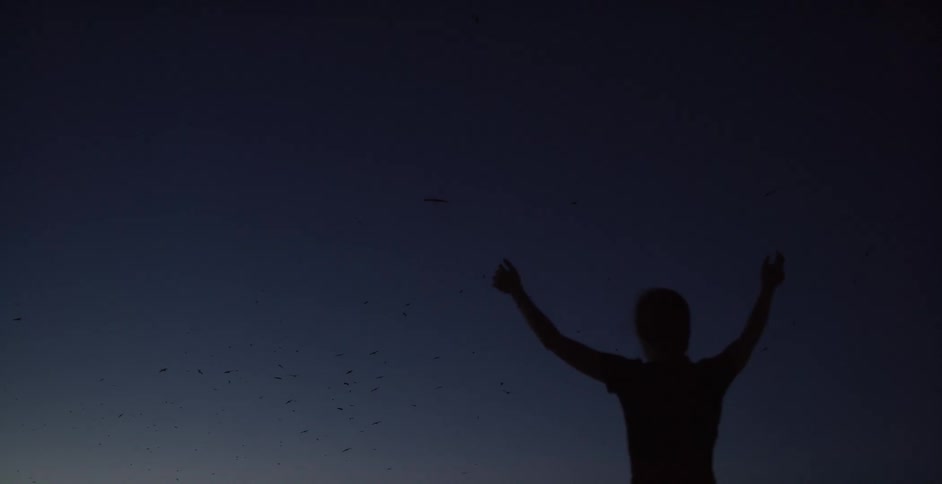A person is standing outside at dawn raising their arms as birds fly in the distance