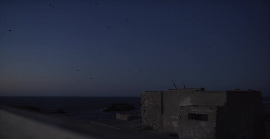 Birds fly over an abandoned building at night