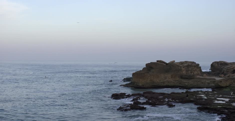 Birds fly over a rocky coast at sunset