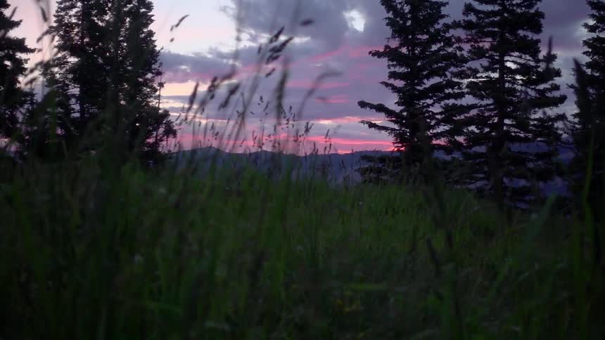 A field near a mountain at sunset
