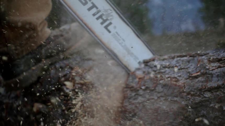 A person is cutting a log with a chainsaw