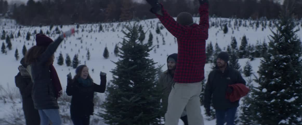 A family pick a christmas tree to chop down