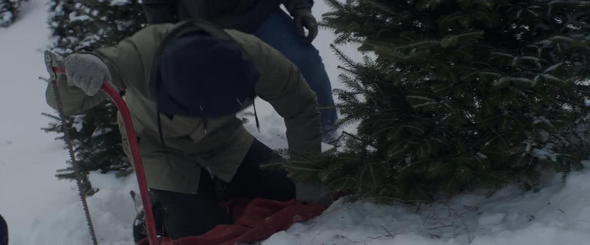A man begins cutting a christmas tree with a saw