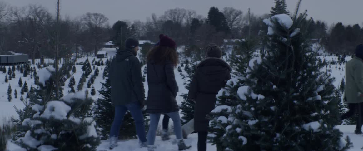People walk through a snowy tree farm at sunset