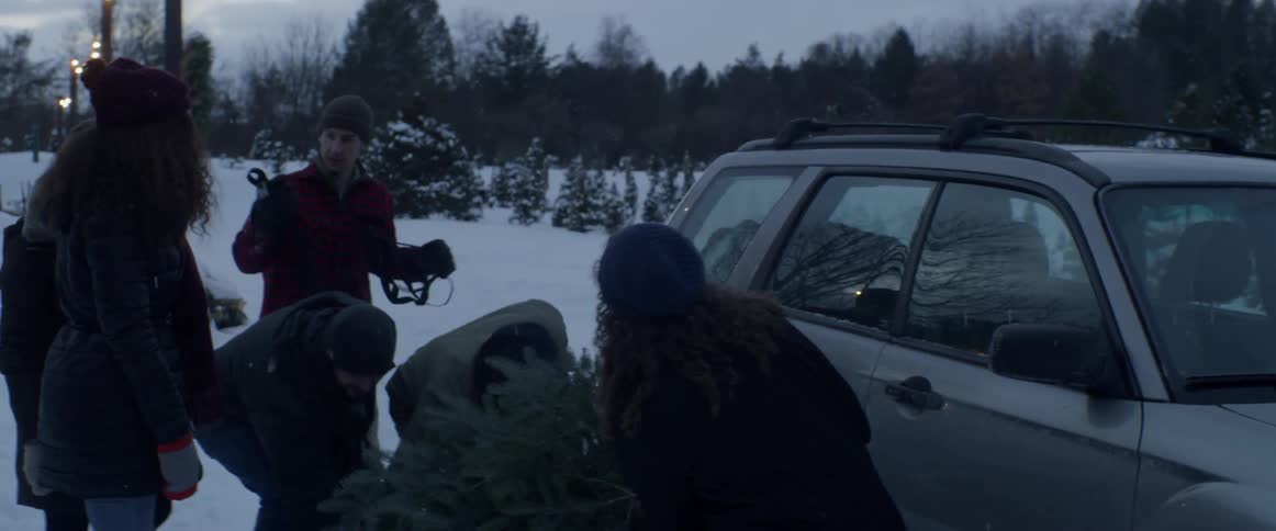 People walk to the car carrying their christmas tree
