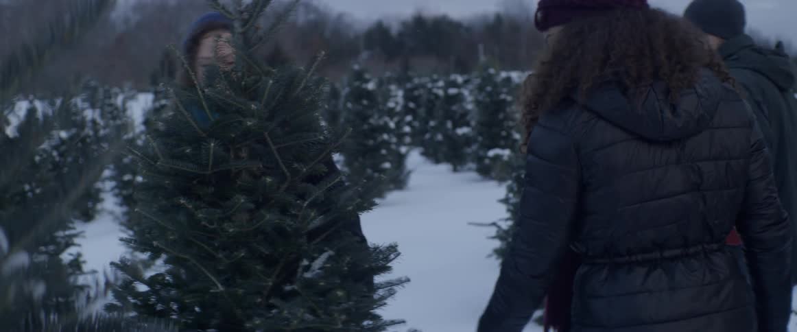 People examine a pine tree on a tree farm