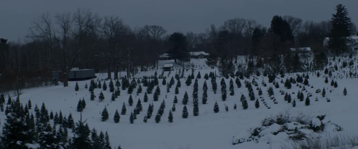 A tree farm with snow all around