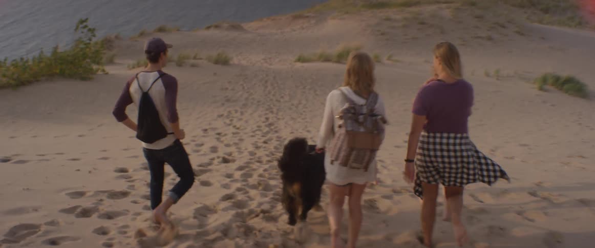 Men and women walk a dog on a sandy beach