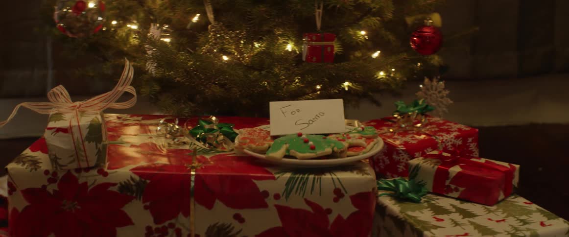 Person places cookies on top of presents in front of a tree