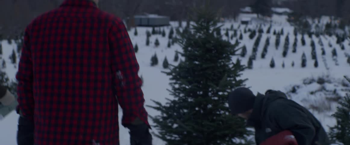 A man shakes snow from a tree near a group of people
