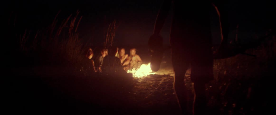A group of people around a bonfire
