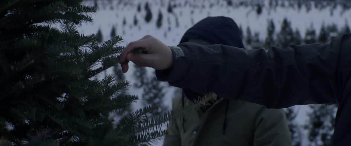 A man reaches out to touch and then sniff pine needles on a tree