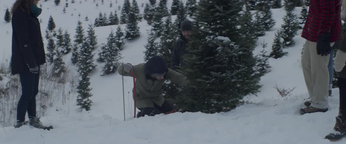 A group of people pick out a tree and start to cut it down