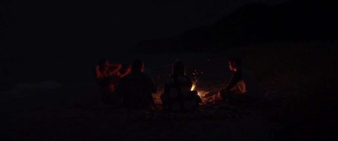 Friends sit around a campfire on the beach