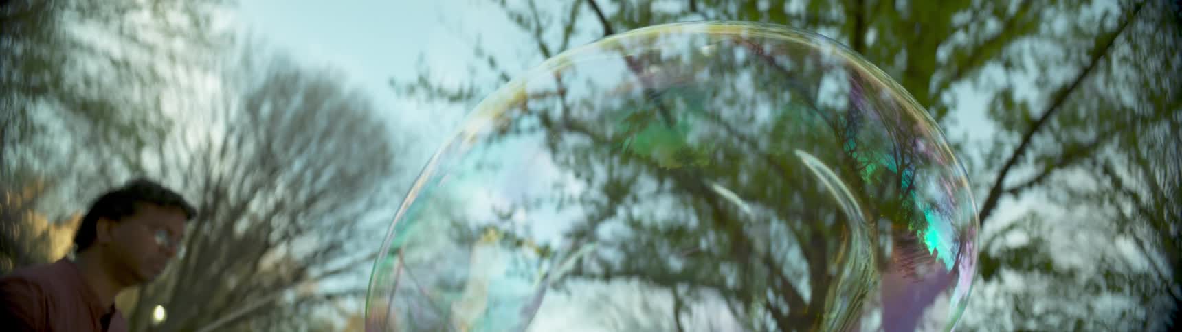 View looking through a large soap bubble at trees