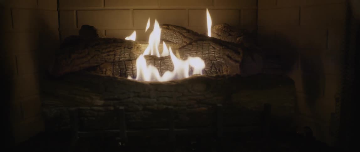 Logs burn in a fireplace