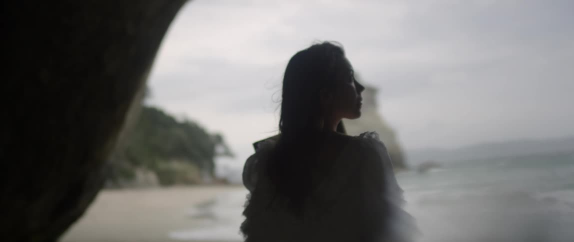 A woman stands on the shore of a beach