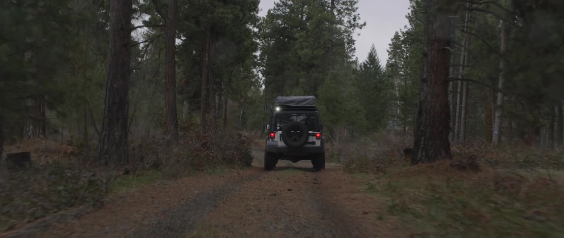 A jeep travels through a forest trail