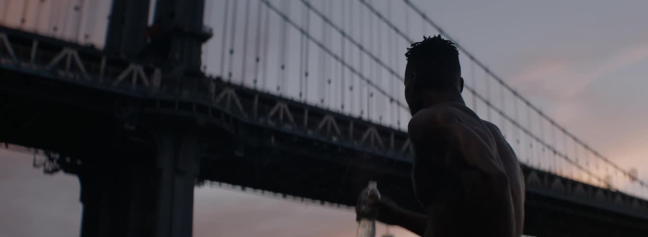 A looks around near a bridge at sunset