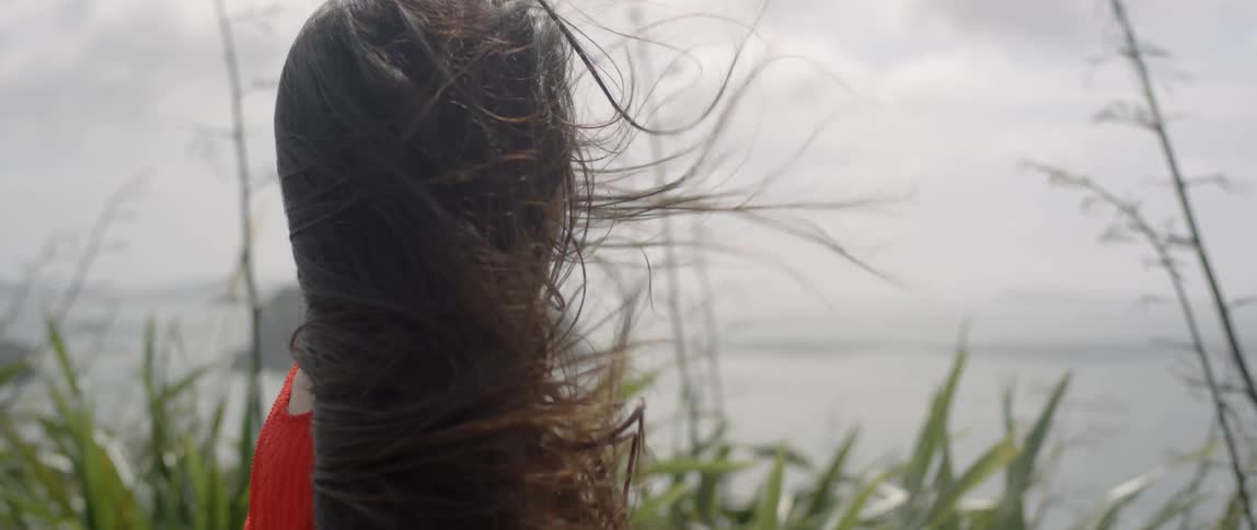 A woman's hair is blown by the wind as she takes in a coastal view