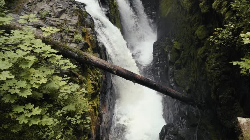 Waterfalls cascade into a ravine