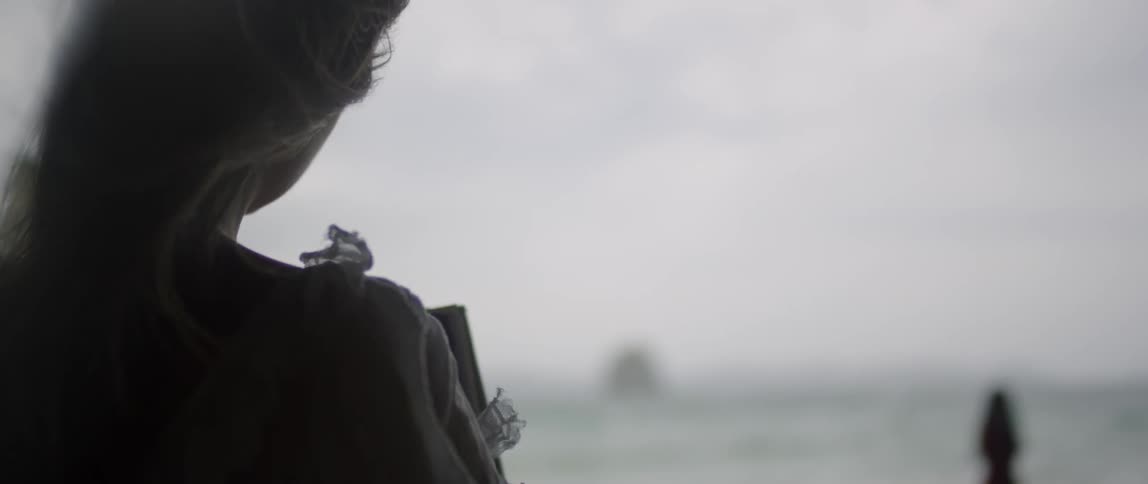 The wind blows a woman's hair as she looks out at the ocean