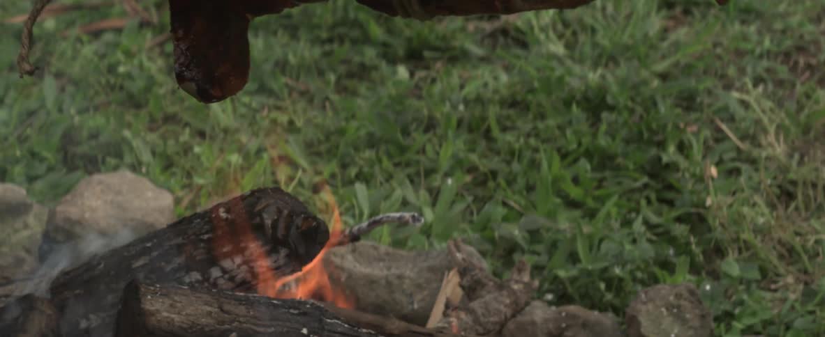 A pig is roasted over an outdoor fire