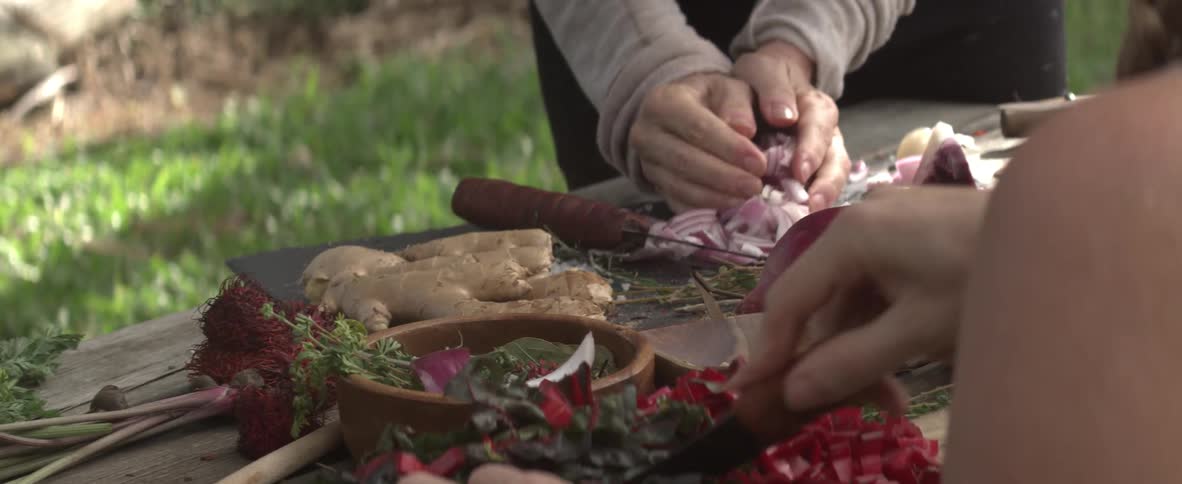 A couple of people are slicing and dicing some vegetables
