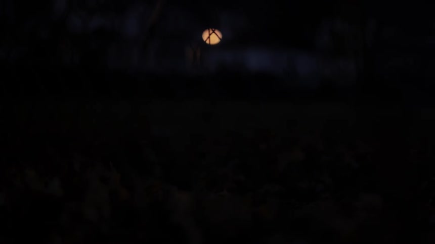 Behind the fence is a single lamp at night