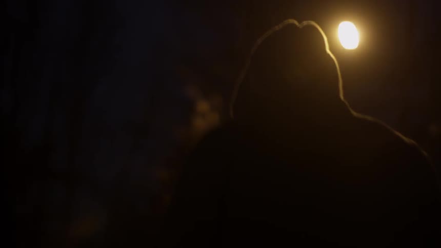 A person dodges off in the night