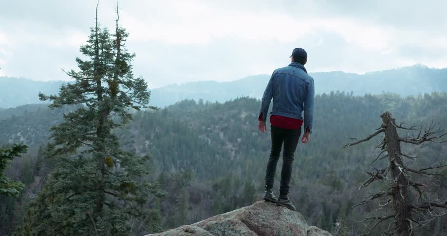 A man is standing on top of a rock looking into a valley of trees