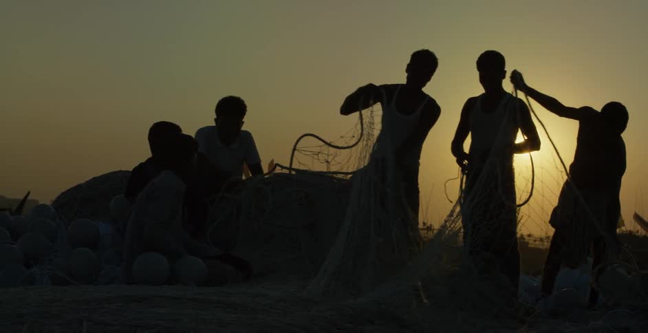 People at dawn lift up a net