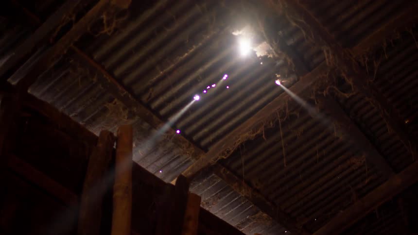Light peeks in through holes in the ceiling