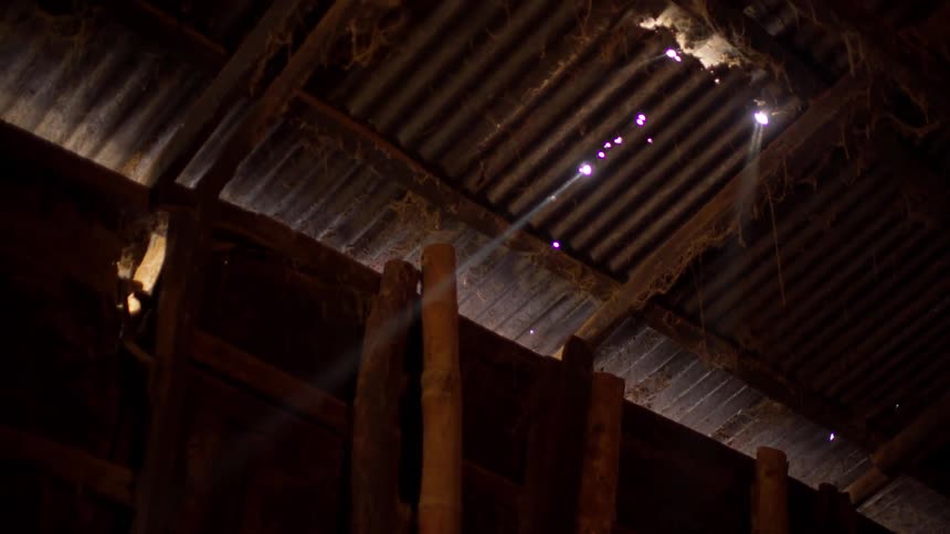 Light shines in through the metal roof