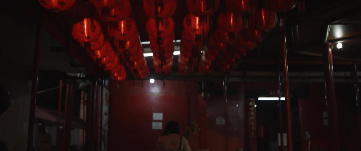 Red chinese lanterns are lining a city street