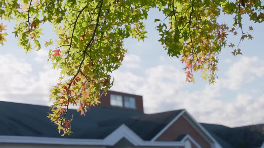 Leaves on a tree blowing in front of a house