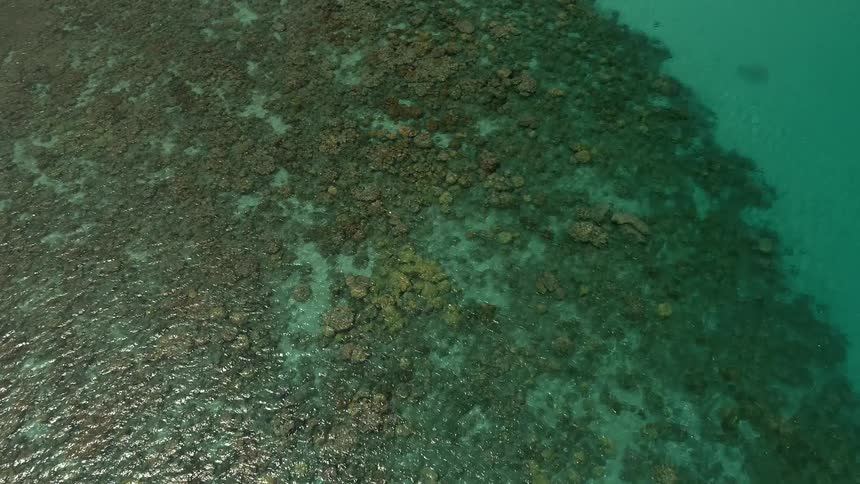 The water has rocks at the bottom