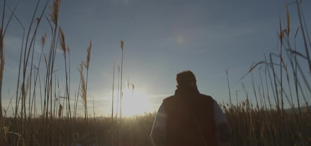 Man walking through a field of tall weeds at sunset