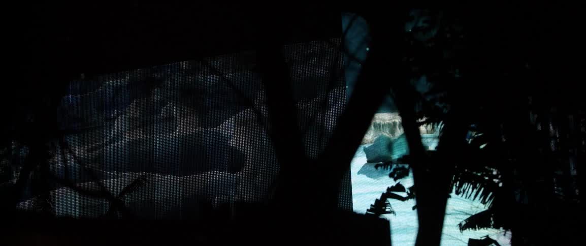 Images are projected onto a building seen through trees