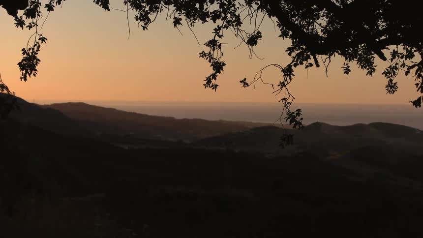 Hills and trees at sunset