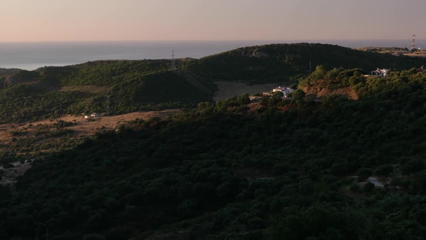 Trees and houses on top of hill overlooking ocean