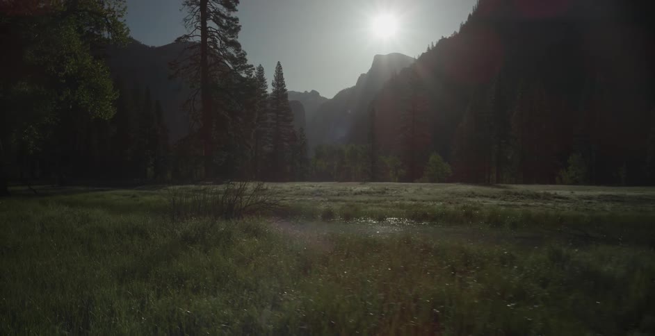 The sun shines over mountains and pine trees