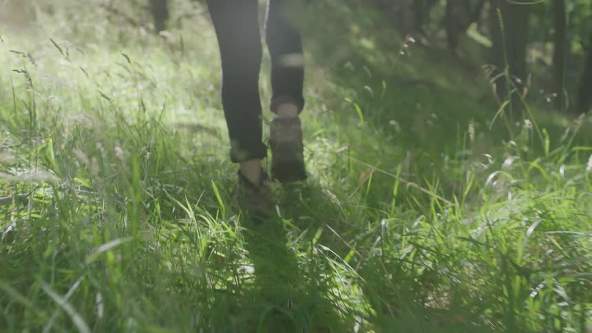 A woman walks through tall green grass