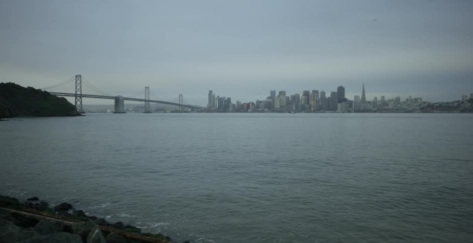 A bird flies over a river with city skyscrapers in the distance