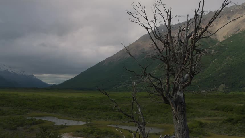 A lush valley on a cloudy day