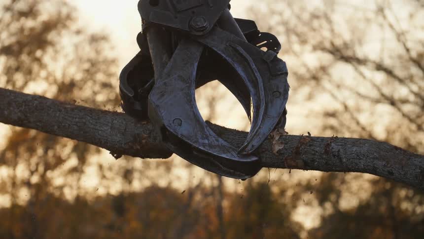 A large log is lifted from a log pile