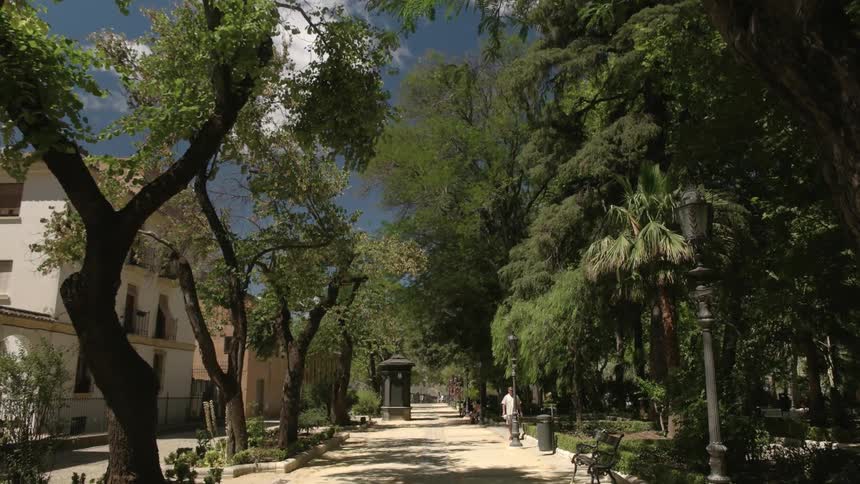 The street is lined with houses and tall trees